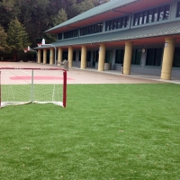 Artificial Grass Bear Creek, California Sports Turf, Commercial Landscape