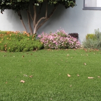 Artificial Grass Carpet Dos Palos, California Garden Ideas, Front Yard Landscaping Ideas