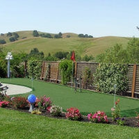 Artificial Lawn Snelling, California Office Putting Green, Backyard Garden Ideas