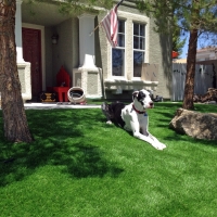 Artificial Turf Cost El Nido, California Landscape Design, Small Front Yard Landscaping