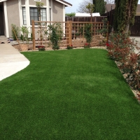 Artificial Turf Dos Palos, California Landscaping, Front Yard Landscape Ideas