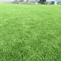 Best Artificial Grass Volta, California Sports Turf