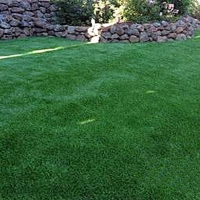 Fake Grass Carpet Cressey, California Landscape Ideas, Backyards