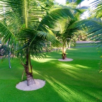 Fake Grass Snelling, California Home And Garden, Commercial Landscape