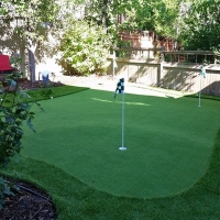 Faux Grass Snelling, California Lawns, Backyard Ideas