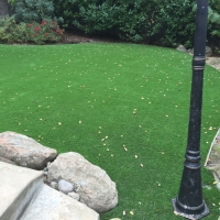 Grass Carpet Atwater, California Lawn And Landscape, Beautiful Backyards