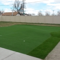 Grass Turf Winton, California Putting Greens, Backyard Designs