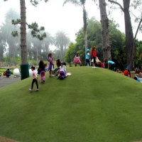 Green Lawn Winton, California City Landscape, Parks