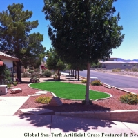 Outdoor Carpet Planada, California Gardeners, Front Yard Landscape Ideas