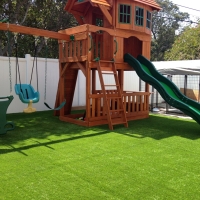 Outdoor Carpet South Dos Palos, California Roof Top, Backyard Landscaping