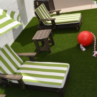 Turf Grass Los Banos, California Landscaping, Backyard Design