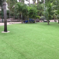 Turf Grass Planada, California Lawn And Garden, Commercial Landscape