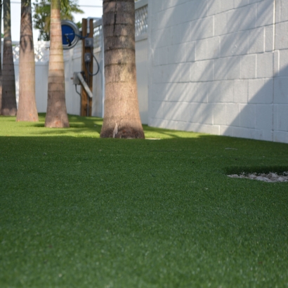 Artificial Grass Carpet Delhi, California Garden Ideas, Commercial Landscape