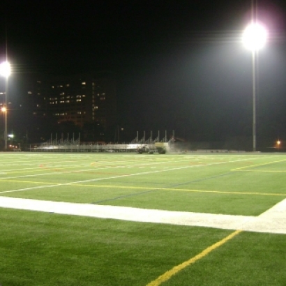 Artificial Grass Carpet Hilmar-Irwin, California High School Sports