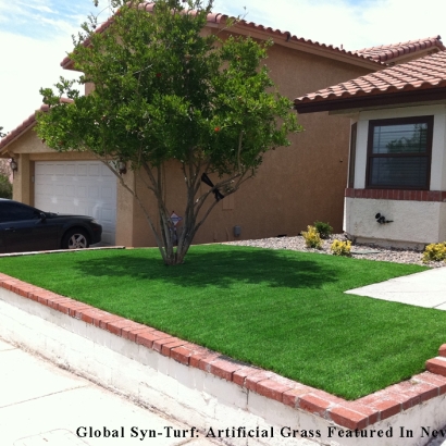 Artificial Grass Delhi, California Landscaping Business, Front Yard