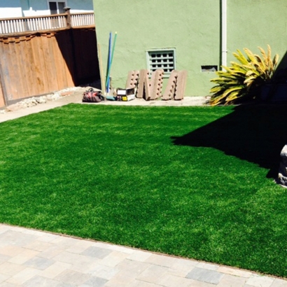 Artificial Grass El Nido, California Roof Top, Backyard Ideas