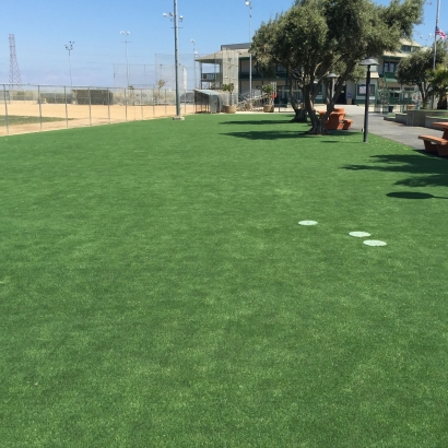 Artificial Grass Gustine, California Landscape Design, Parks