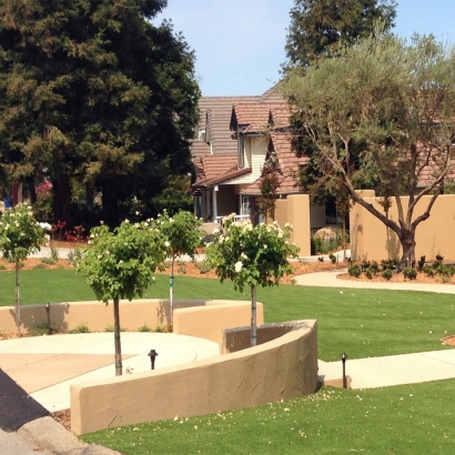 Artificial Grass Planada, California Design Ideas, Front Yard Landscaping Ideas