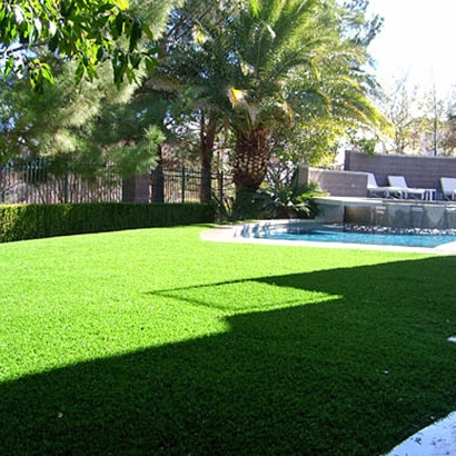 Artificial Lawn Ballico, California Backyard Playground, Backyard Design