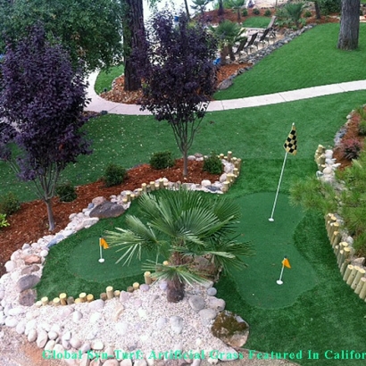 Artificial Lawn Merced, California Design Ideas, Backyard
