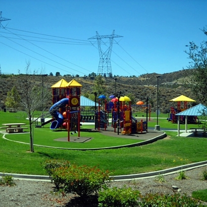 Artificial Lawn Planada, California Landscape Photos, Parks