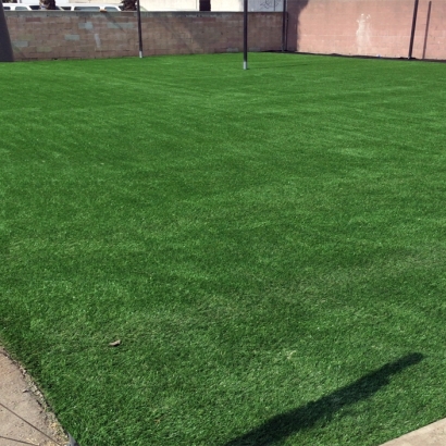 Artificial Lawn South Dos Palos, California Sports Turf