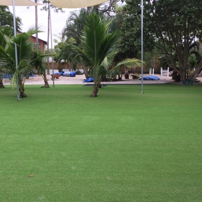 Artificial Turf Ballico, California Gardeners, Commercial Landscape