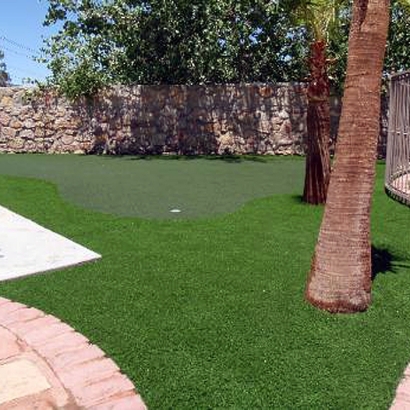 Artificial Turf Bear Creek, California Putting Green Carpet, Small Backyard Ideas