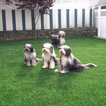 Artificial Turf Cost Planada, California Grass For Dogs, Backyard Ideas