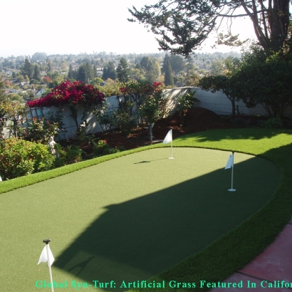 Artificial Turf Cost Snelling, California Design Ideas, Beautiful Backyards