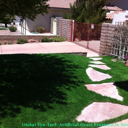 Artificial Turf Cost South Dos Palos, California Dog Park, Front Yard Landscaping