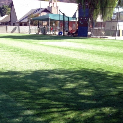 Artificial Turf Cressey, California Home And Garden, Parks