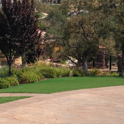 Artificial Turf Installation Delhi, California Lawns, Backyard Landscaping Ideas