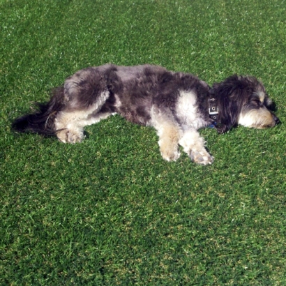 Artificial Turf Installation South Dos Palos, California Pet Paradise, Dogs Runs