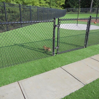 Artificial Turf Installation Stevinson, California Design Ideas, Recreational Areas