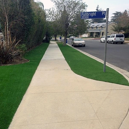 Artificial Turf Le Grand, California Lawns, Front Yard Ideas