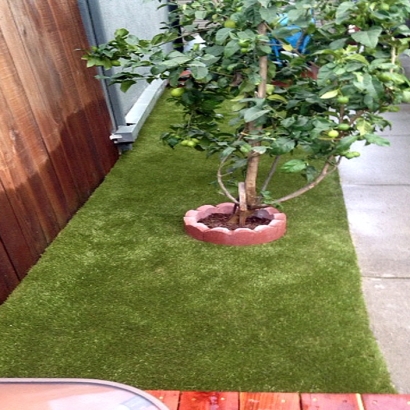 Artificial Turf Planada, California Dog Parks, Small Backyard Ideas