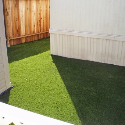 Best Artificial Grass Bear Creek, California Gardeners, Beautiful Backyards