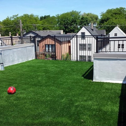 Best Artificial Grass Bear Creek, California Home And Garden, Patio