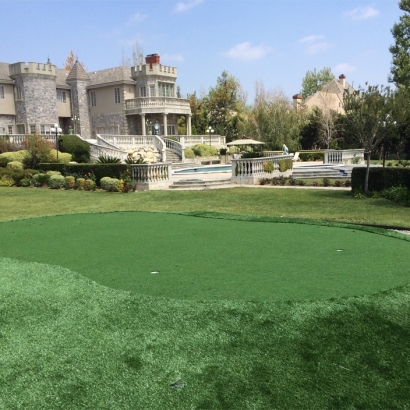 Fake Grass Carpet Ballico, California Gardeners, Front Yard