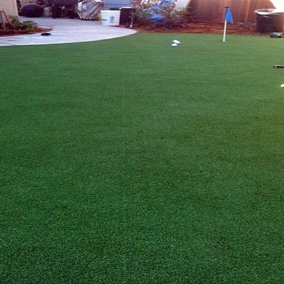 Fake Grass Carpet Stevinson, California Artificial Putting Greens, Backyard Landscape Ideas