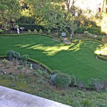 Fake Grass Carpet Stevinson, California Gardeners, Small Backyard Ideas