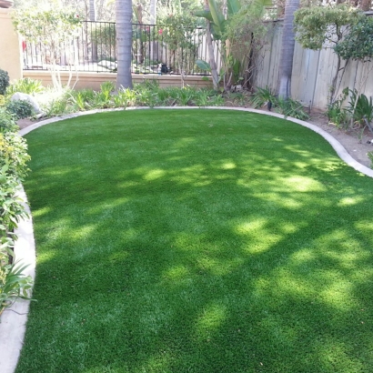 Fake Grass Cressey, California Home And Garden