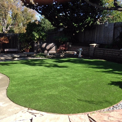Fake Grass Dos Palos, California Landscape Ideas, Beautiful Backyards