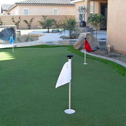 Fake Grass El Nido, California Best Indoor Putting Green, Backyard Designs