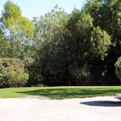 Fake Grass South Dos Palos, California Roof Top, Front Yard Landscaping Ideas