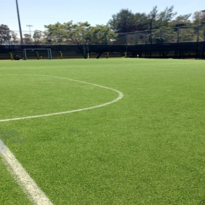 Fake Lawn Los Banos, California Red Turf