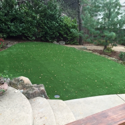 Faux Grass Gustine, California Lawn And Landscape, Backyard Landscaping Ideas