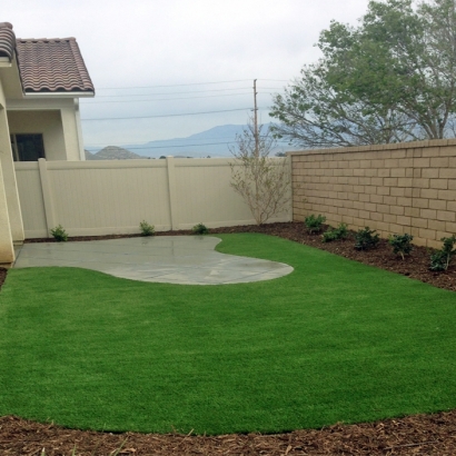 Grass Carpet Cressey, California Lawn And Landscape, Backyard Landscaping Ideas
