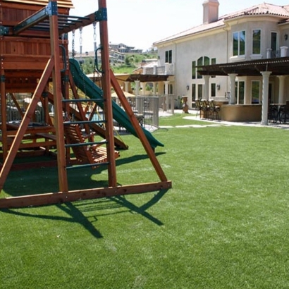 Grass Carpet Delhi, California Lawn And Garden, Backyard Landscape Ideas